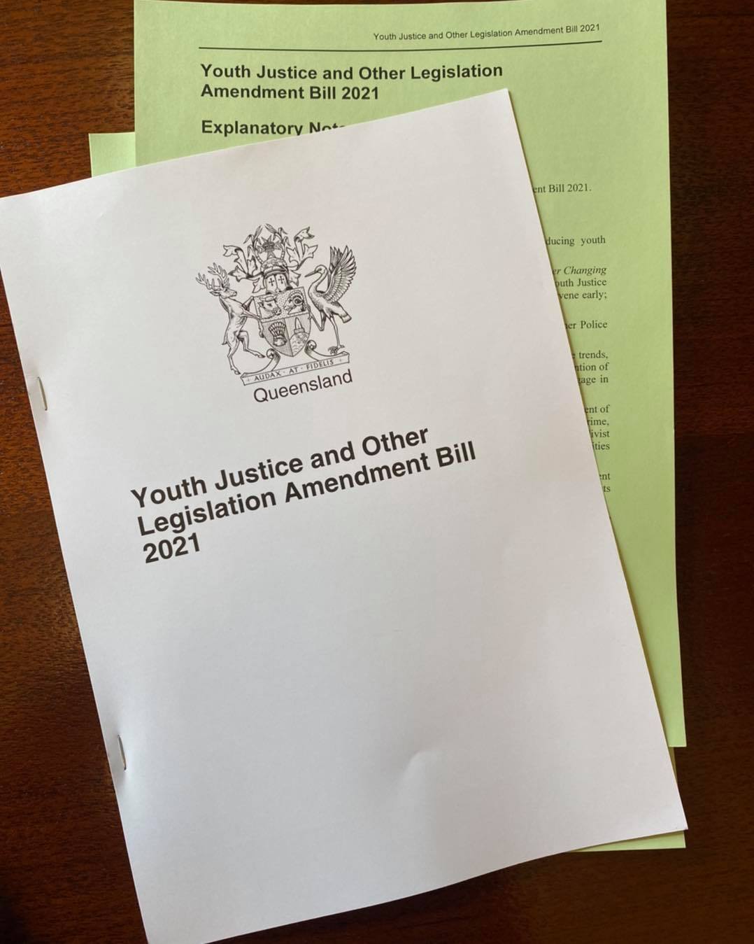 Youth Justice and Other Legislation Amendment Bill 2021.